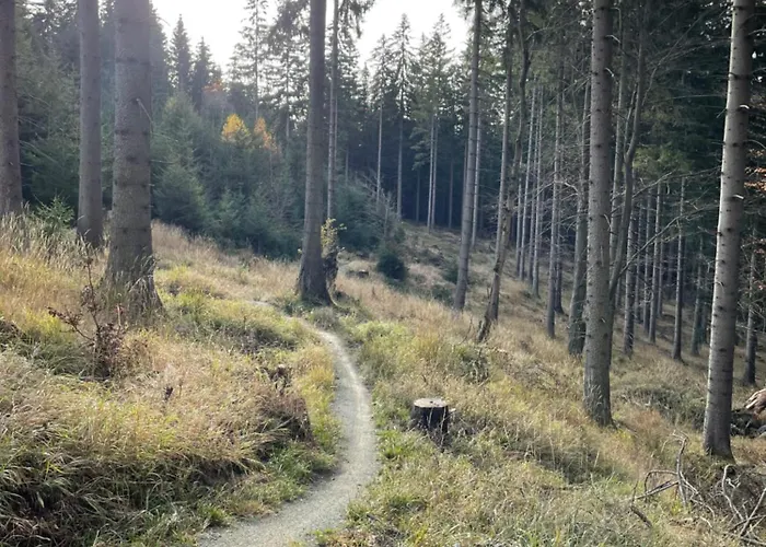 Titina Bed and Breakfast 3*