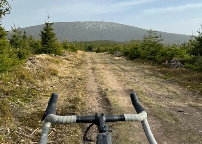 Bed and Breakfast Titina Miedzygorze