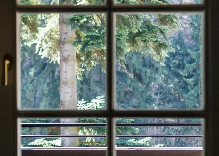 Titina 3* Miedzygorze