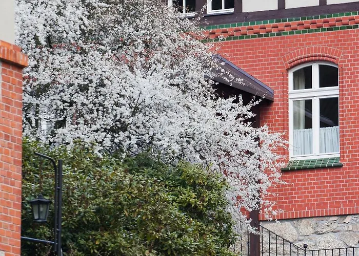 Titina Bed and Breakfast Miedzygorze