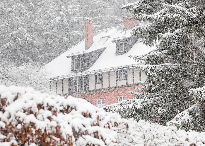 Titina 3* Miedzygorze